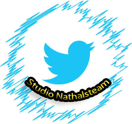 Volg Studio Nathalsteam op Twitter